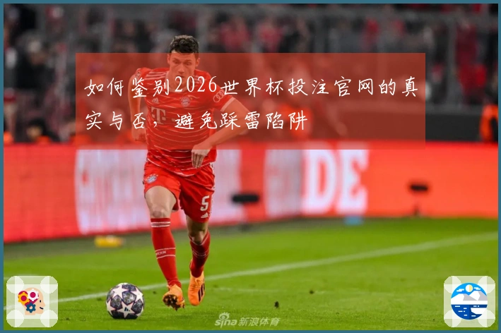 如何鉴别2026世界杯投注官网的真实与否，避免踩雷陷阱
