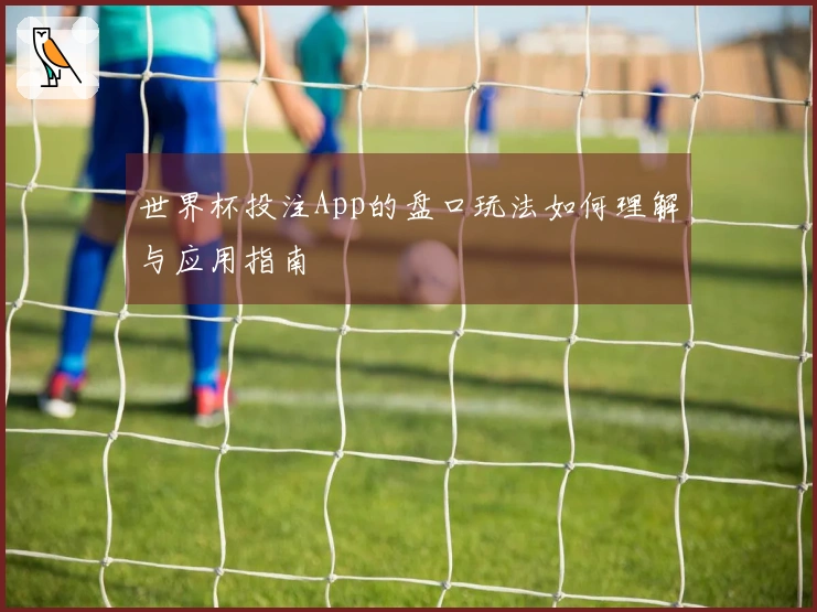 世界杯投注App的盘口玩法如何理解与应用指南