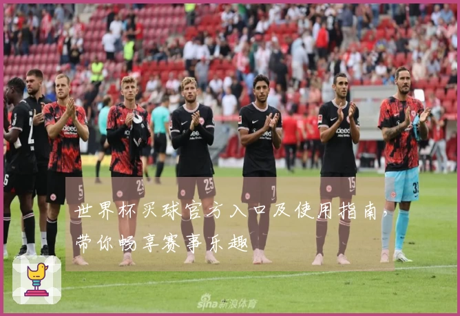 世界杯买球官方入口及使用指南，带你畅享赛事乐趣