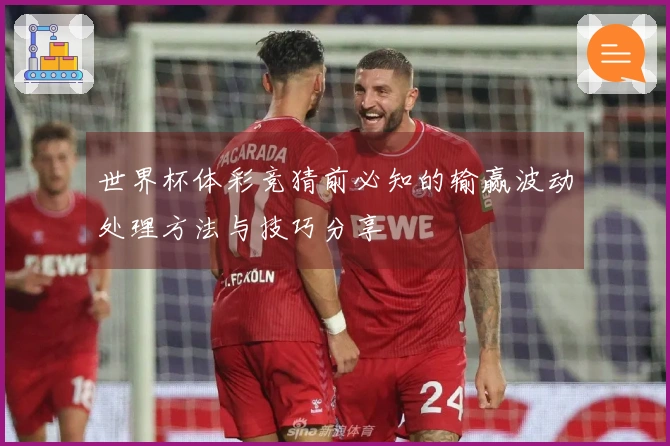 世界杯体彩竞猜前必知的输赢波动处理方法与技巧分享