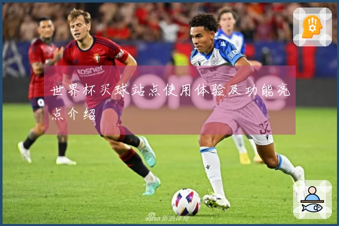 世界杯买球站点使用体验及功能亮点介绍