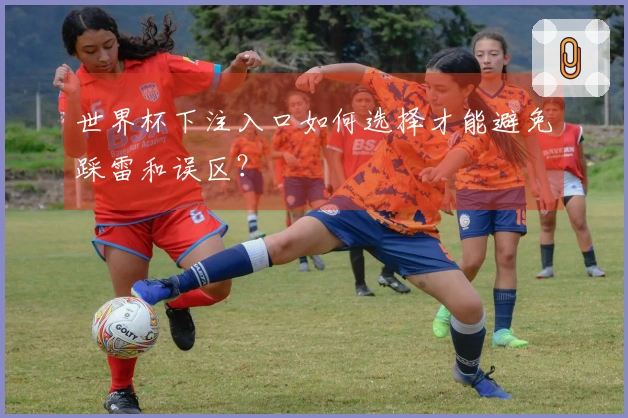 世界杯下注入口如何选择才能避免踩雷和误区?