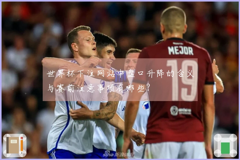 世界杯下注网站中盘口升降的含义与赛前注意事项有哪些？