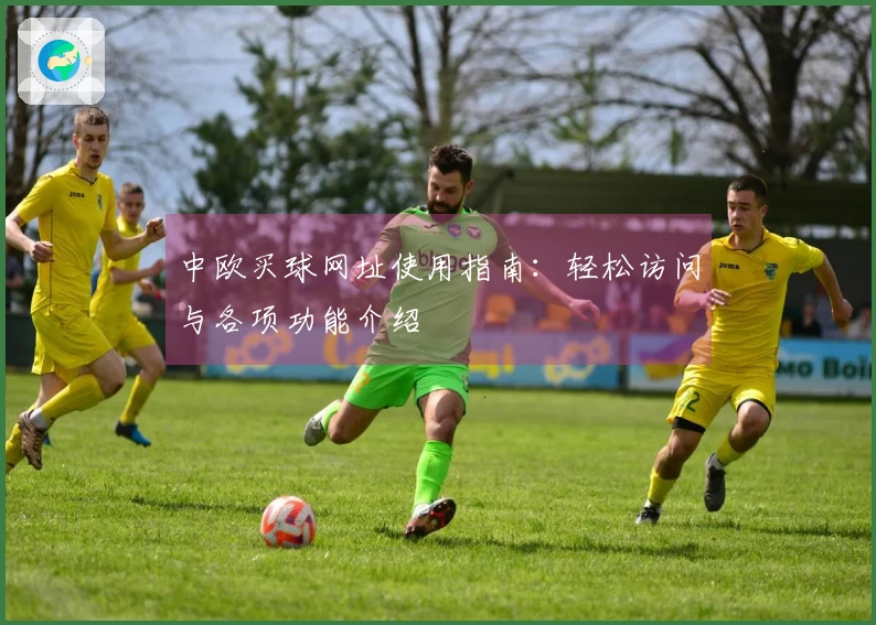 中欧买球网址使用指南：轻松访问与各项功能介绍