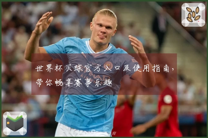 世界杯买球官方入口及使用指南,带你畅享赛事乐趣