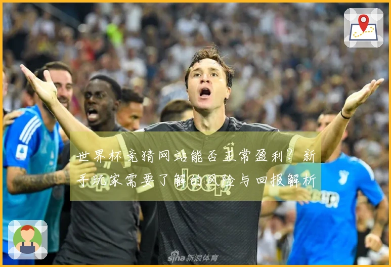 世界杯竞猜网站能否正常盈利？新手玩家需要了解的风险与回报解析