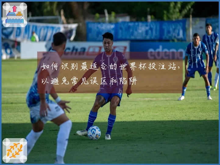如何识别最适合的世界杯投注站,以避免常见误区和陷阱
