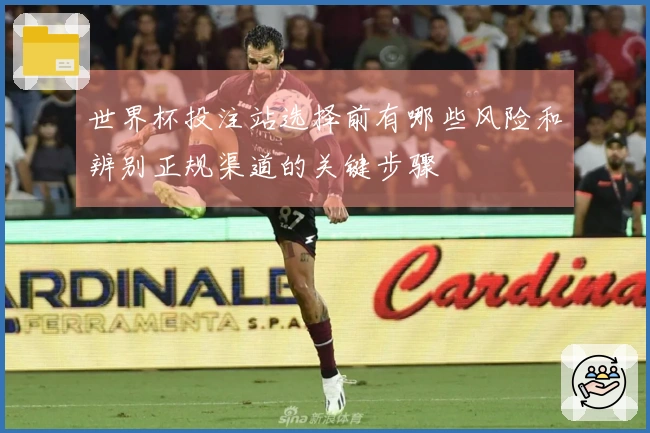 世界杯投注站选择前有哪些风险和辨别正规渠道的关键步骤