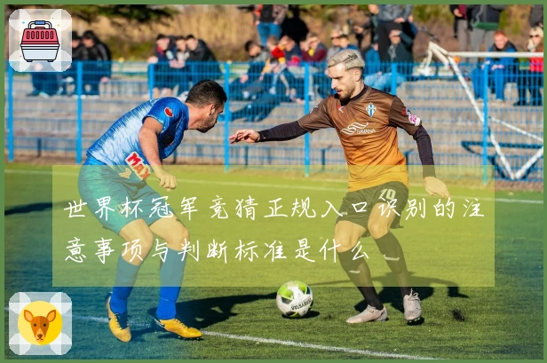 世界杯冠军竞猜正规入口识别的注意事项与判断标准是什么