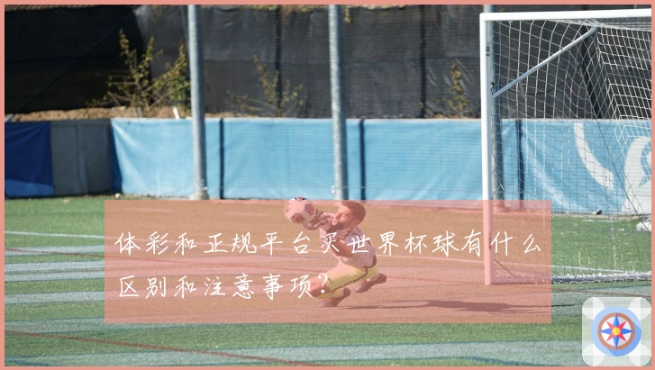 体彩和正规平台买世界杯球有什么区别和注意事项？