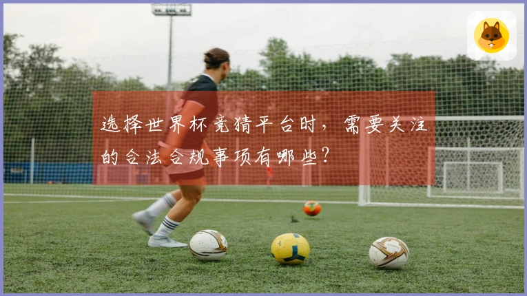选择世界杯竞猜平台时，需要关注的合法合规事项有哪些？