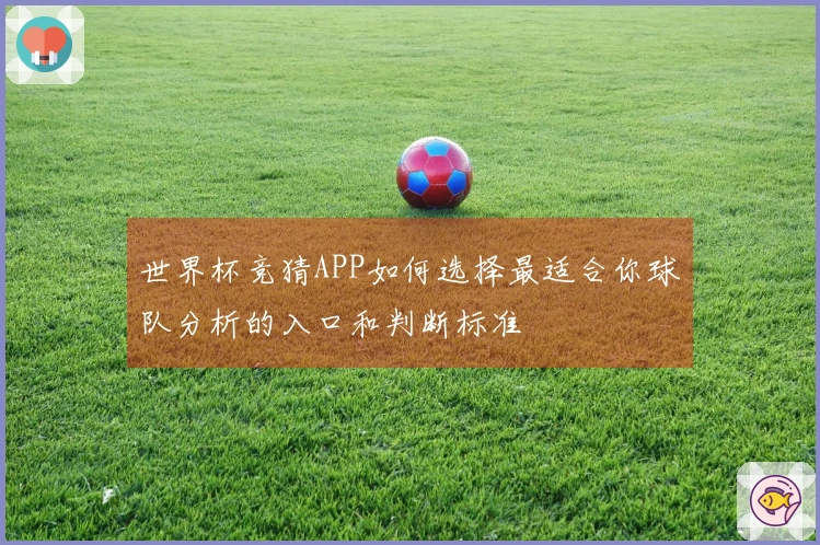 世界杯竞猜APP如何选择最适合你球队分析的入口和判断标准