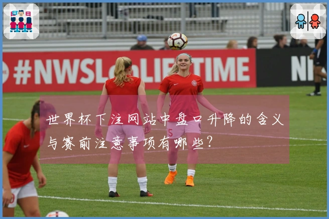 世界杯下注网站中盘口升降的含义与赛前注意事项有哪些?