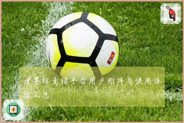 世界杯竞猜平台用户测评与使用体验汇总