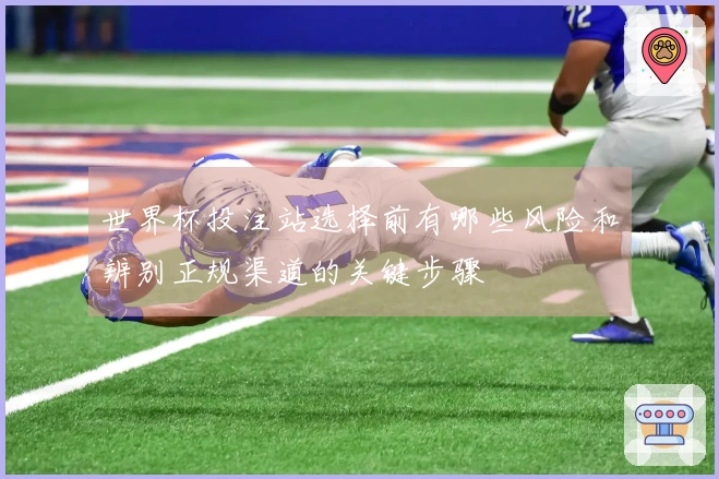 世界杯投注站选择前有哪些风险和辨别正规渠道的关键步骤