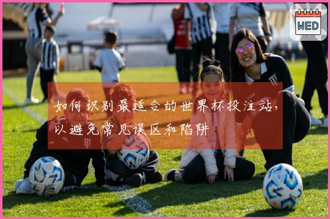 如何识别最适合的世界杯投注站，以避免常见误区和陷阱