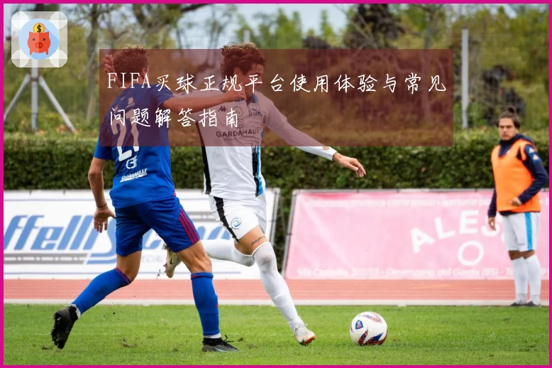 FIFA买球正规平台使用体验与常见问题解答指南