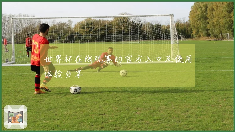 世界杯在线观赛的官方入口及使用体验分享