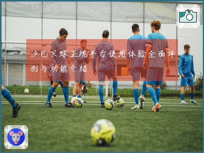 沙巴买球正规平台使用体验全面评测与功能介绍