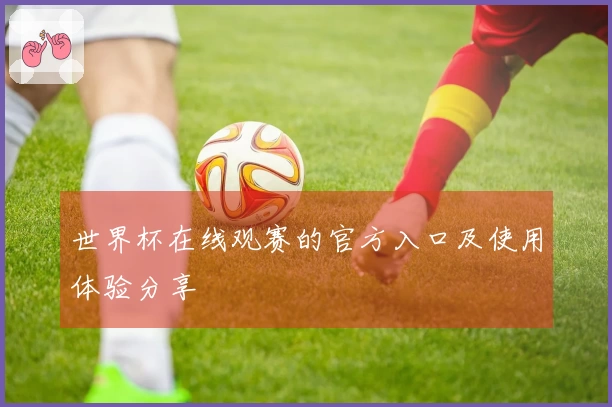 世界杯在线观赛的官方入口及使用体验分享